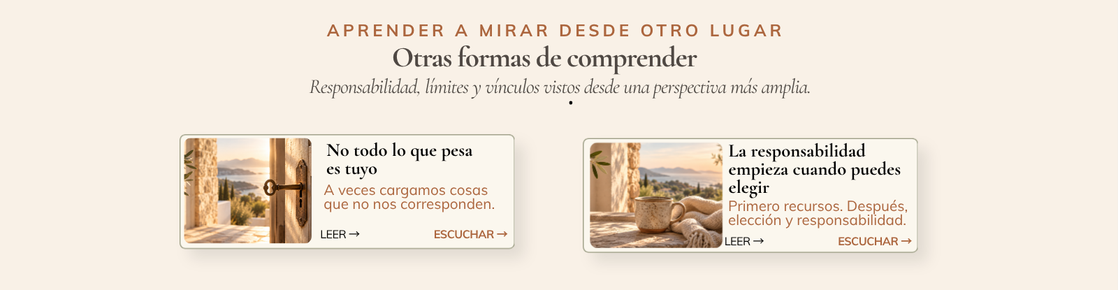 Aprender a mirar desde otro lugar: otras formas de comprender